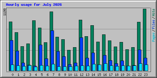 Hourly usage for July 2026